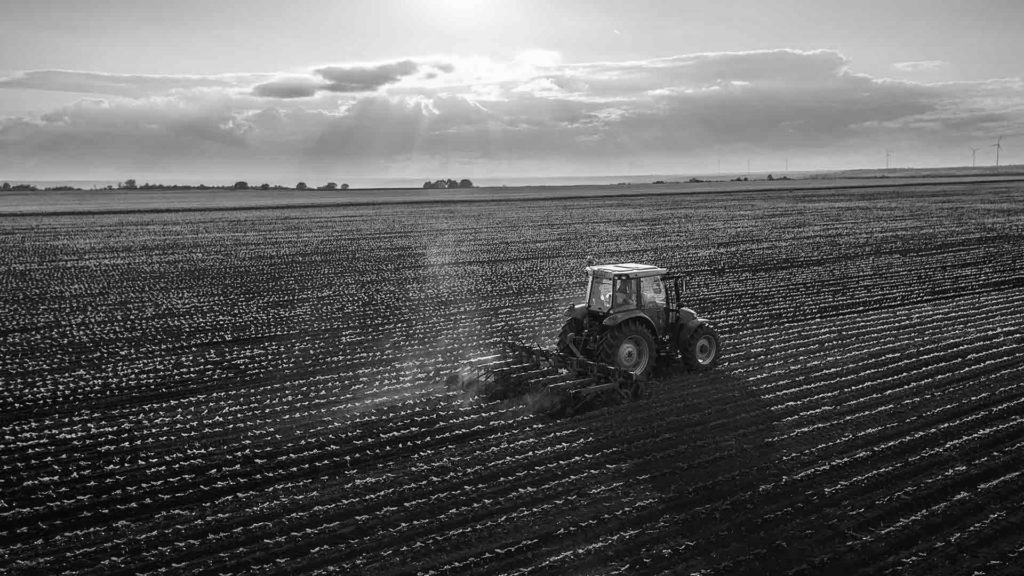 AI is Coming to the Farm —  That Can be a Good Thing